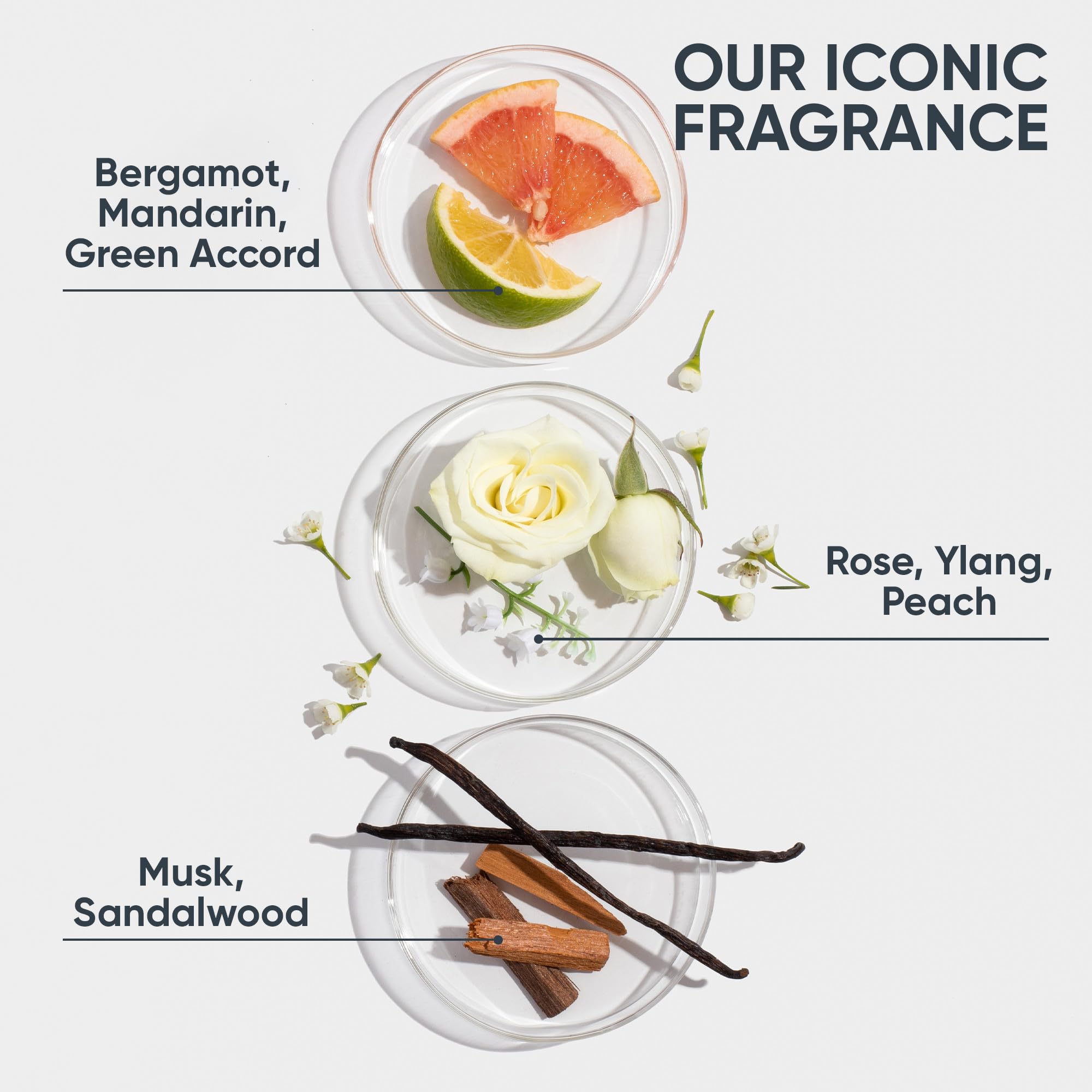 Biolage Color Last Shampoo | Helps Protect Hair & Maintain Vibrant Color | For Color-Treated and Natural Hair | Paraben & Silicone-Free | Vegan | Cruelty Free | Color Protecting Salon Shampoo Biolage